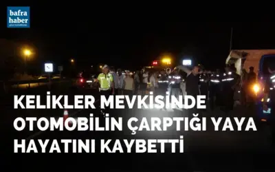 Kelikler Mevkisinde Otomobilin çarptığı yaya hayatını kaybetti