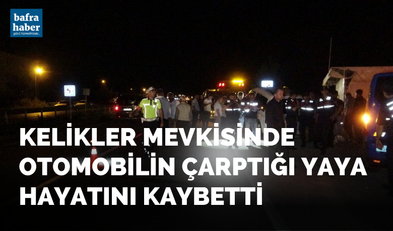 Otomobilin çarptığı yaya hayatını kaybetti