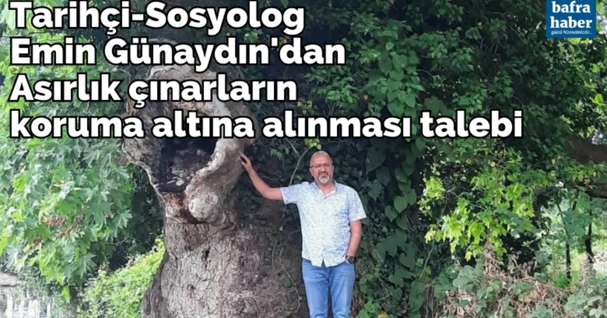Tarihçi Emin Günaydın'dan Asırlık çınarların koruma altına alınması talebi