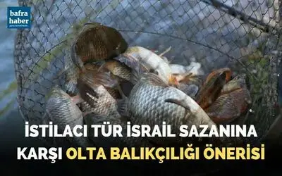 İstilacı tür İsrail sazanına karşı olta balıkçılığı önerisi
