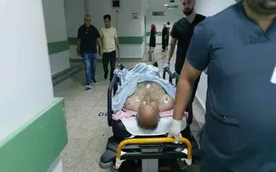 Sokak kedilerini kovduğu için bıçaklı saldırıda ağır yaralandı
