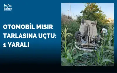 Bafra'da Otomobil Mısır Tarlasına Uçtu: 1 Yaralı