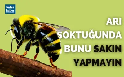 Arı soktuğunda bunu sakın yapmayın!
