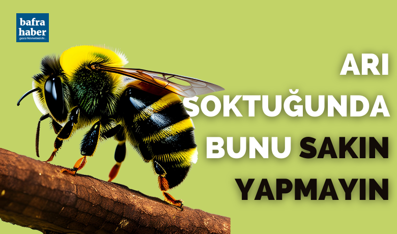 Arı soktuğunda bunu sakın yapmayın!