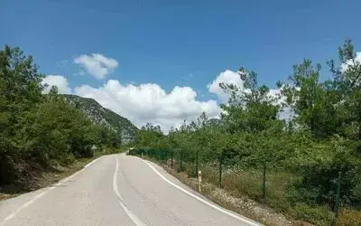 Samsun Valiliği’nden orman yangınlarına karşı uyarı

