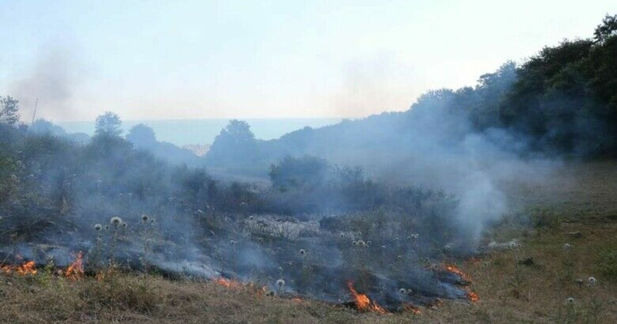 Orman yangınlarına anında müdahale
