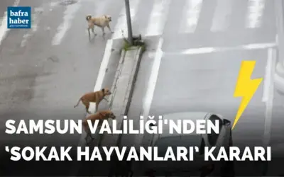 Samsun Valiliğinden ‘sokak hayvanları’ kararı