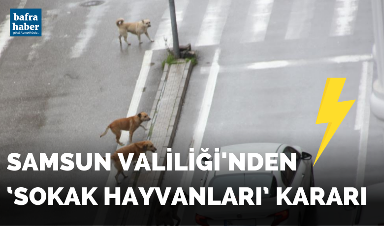 Samsun Valiliğinden ‘sokak hayvanları’ kararı