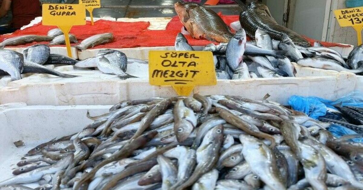 Olta mezgitleri tezgahlardaki yerini aldı
