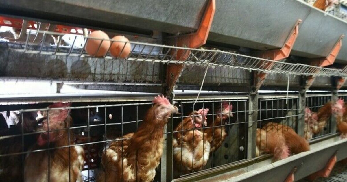 Ziraat Fakültesinden organik ürünler
