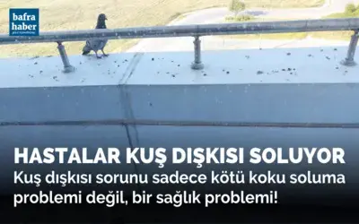 Hastalar Kuş Dışkısı Soluyor