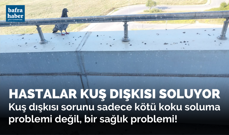 Hastalar Kuş Dışkısı Soluyor