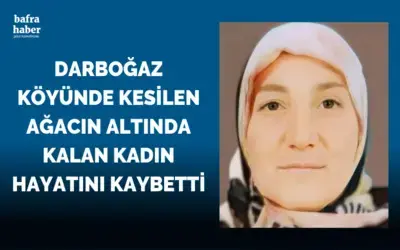 Kesilen ağacın altında kalan kadın hayatını kaybetti