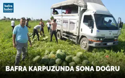 Bafra karpuzunda sona doğru
