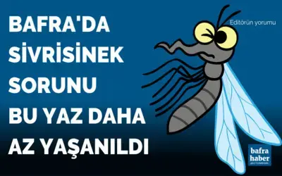 Bafra'da Sivrisinek Sorunu Bu Yaz Daha Az Yaşanıldı