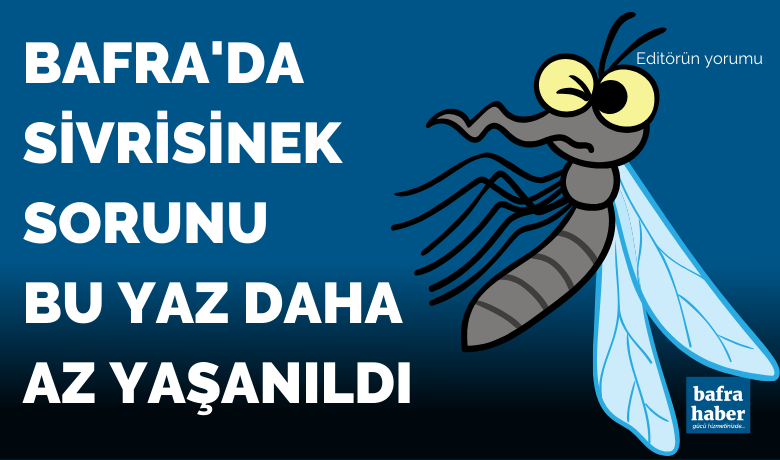 Bafra'da Sivrisinek Sorunu Bu Yaz Daha Az Yaşanıldı