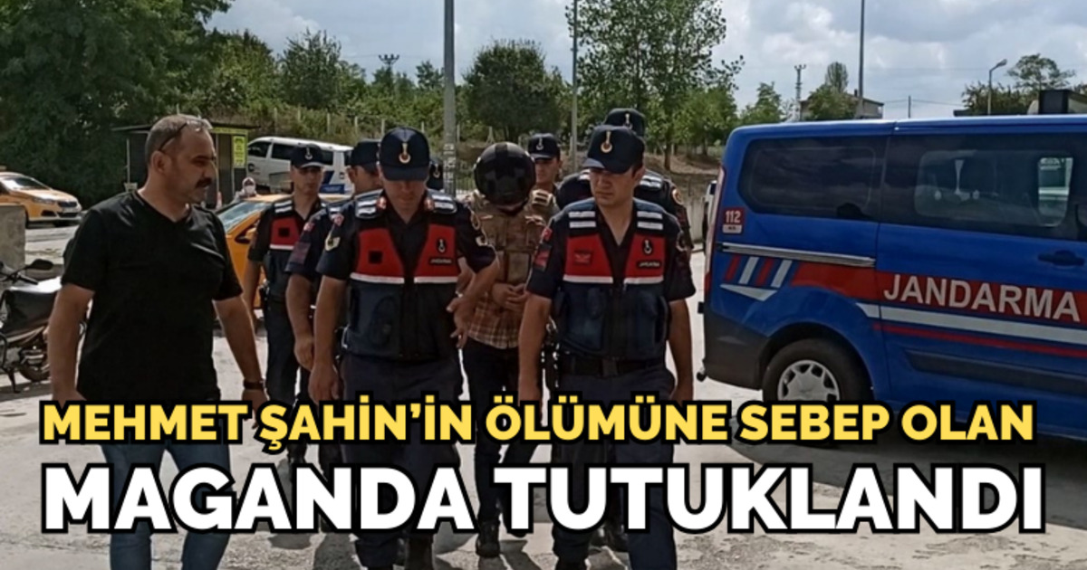 Mehmet Şahin'in ölümüne sebep olan maganda adliyede
