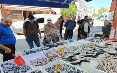 Balıkçı tezgahının bu sezonki starı ’hamsi’
