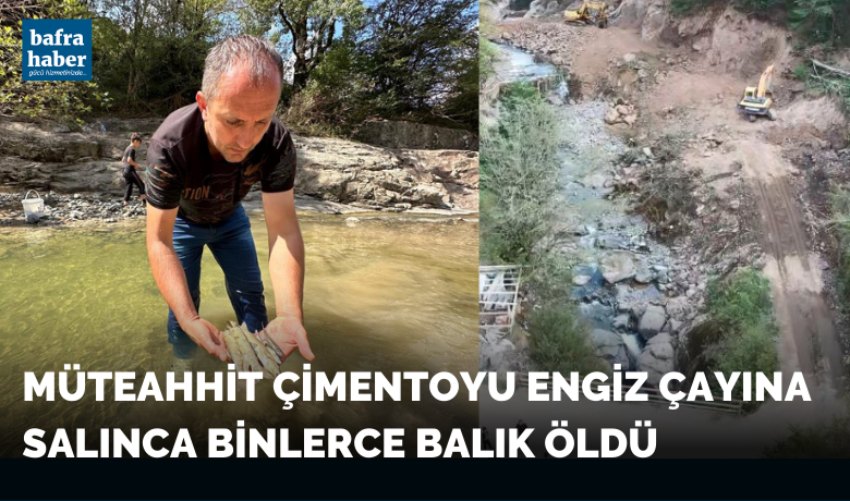 Akarsu ıslahı çalışmasındabinlerce balık telef oldu