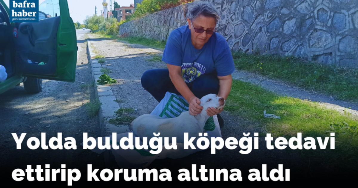 Yolda bulduğu köpeği tedavi ettirip koruma altına aldı