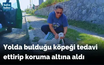 Yolda bulduğu köpeği tedavi ettirip koruma altına aldı