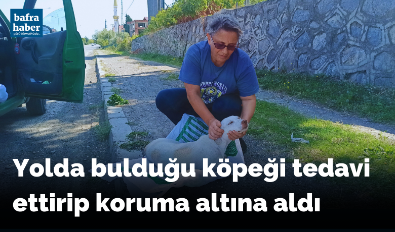 Yolda bulduğu köpeği tedaviettirip koruma altına aldı