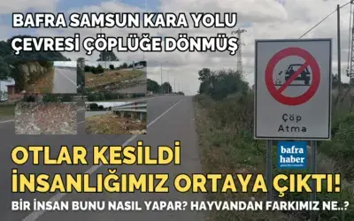 Otlar Kesildi, İnsanlığımız Ortaya Çıktı!
