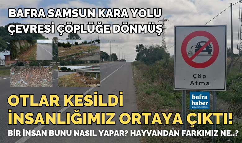 Otlar Kesildi, İnsanlığımız Ortaya Çıktı!