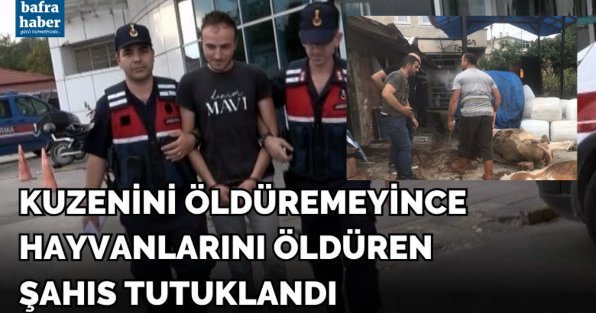 Kuzenini öldüremeyince hayvanlarını öldüren şahıs tutuklandı