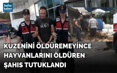 Kuzenini öldüremeyince hayvanlarını öldüren şahıs tutuklandı
