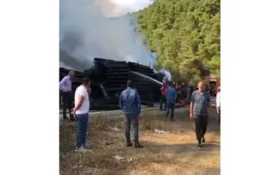 Tomruk yüklü tır alevlere teslim oldu
