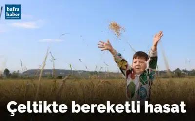 Çeltikte bereketli hasat
