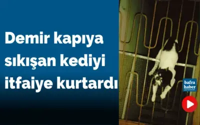 Demir Kapıya Sıkışan Kediyi İtfaiye Kurtardı