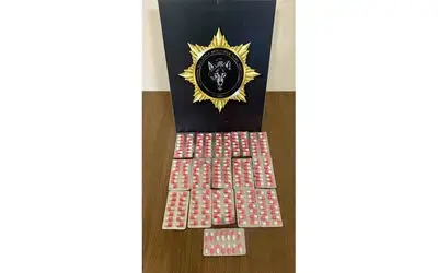 Samsun’da çok miktarda narkotik madde ele geçirildi: 20 gözaltı
