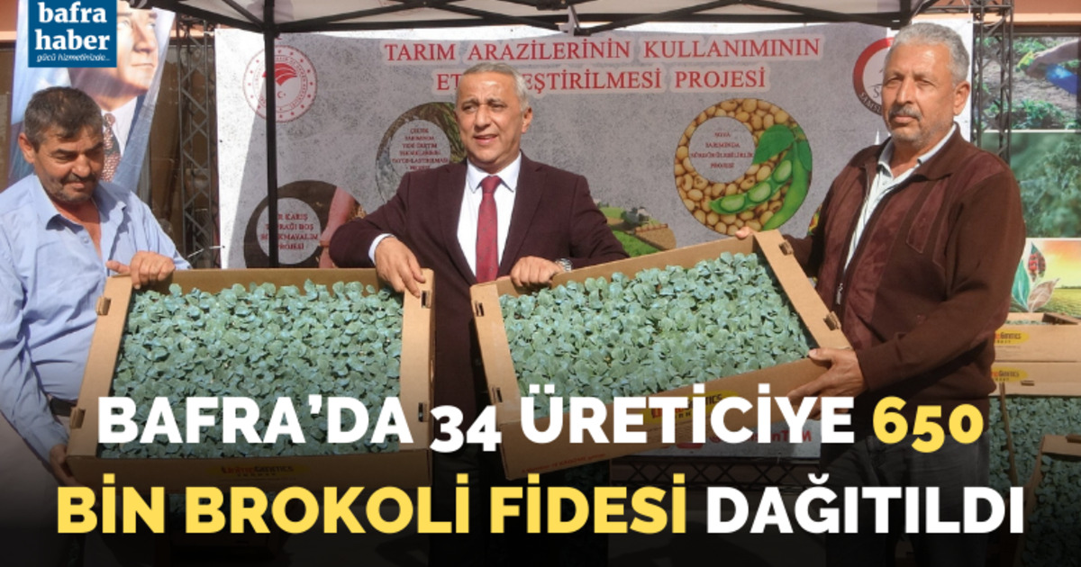Bafra'da 34 üreticiye 650 bin brokoli fidesi dağıtıldı