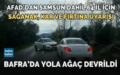 Bafra'da Yola Ağaç Devrildi!