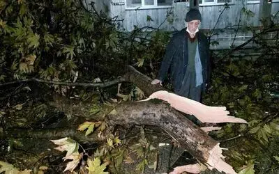 Samsun’da cami avlusundaki ağaç fırtınada ikiye ayrıldı
