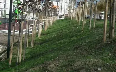 Parkları yeşillendirmede yeni yöntem
