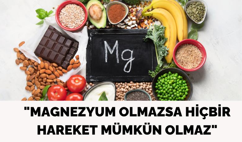Doç. Dr. Gökosmanoğlu: "Magnezyumolmazsa hiçbir hareket mümkün olmaz"