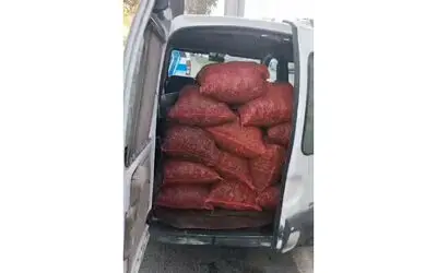 Samsun’da kaçak 20 çuval kara kıllı midye ele geçirildi
