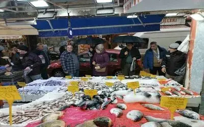 Bu sezon ilk: Kilosu 25 TL’ye düşen hamsi kapış kapış gitti
