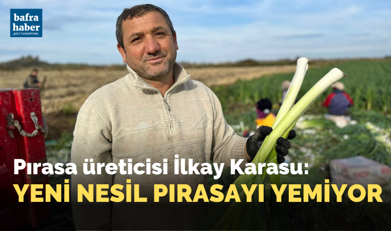 Bafra Ovası’nda pırasa hasadı