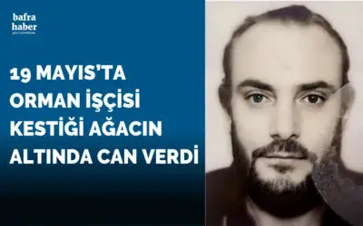 Kestiği ağaç üzerine düşen adam hayatını kaybetti