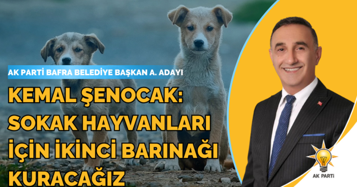 Kemal Şenocak: Sokak Hayvanları İçin İkinci Barınağı Kuracağız 