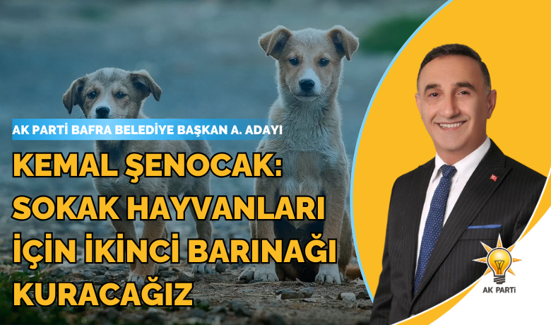 Kemal Şenocak: Sokak Hayvanlarıİçin İkinci Barınağı Kuracağız  - Ak Parti Bafra belediye başkan aday adayı Av. Kemal Şenocak Bafra’nın sokak hayvanları sorunu ile ilgili önemli açıklamalarda bulundu. 