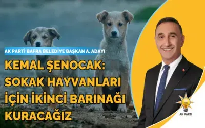 Kemal Şenocak: Sokak Hayvanları İçin İkinci Barınağı Kuracağız 