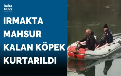 Irmakta Mahsur Kalan Köpek Kurtarıldı