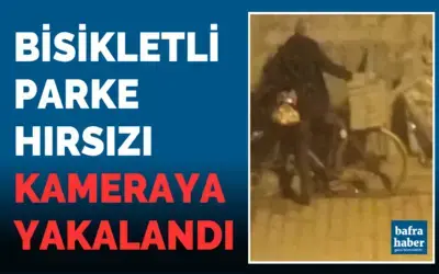 Bisikletli Parke Hırsızı Kameraya Yakalandı