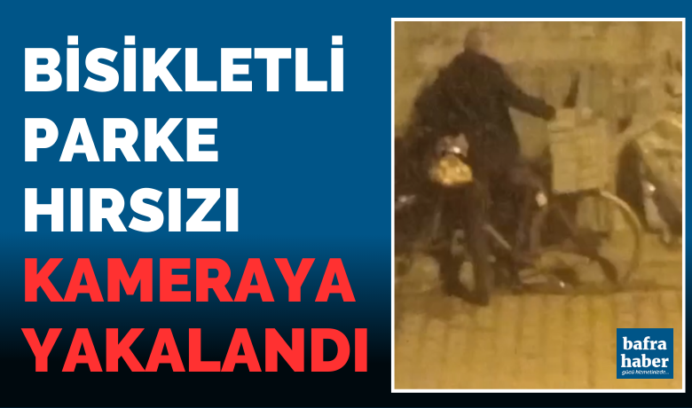 Bisikletli Parke Hırsızı Kameraya Yakalandı