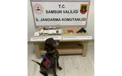 Uyuşturucu maddeyle yakalanan şahıs gözaltına alındı
